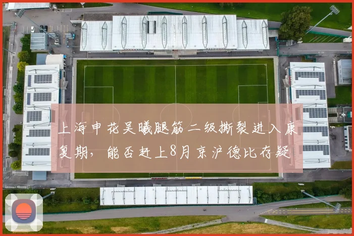 上海申花吴曦腿筋二级撕裂进入康复期,能否赶上8月京沪德比存疑