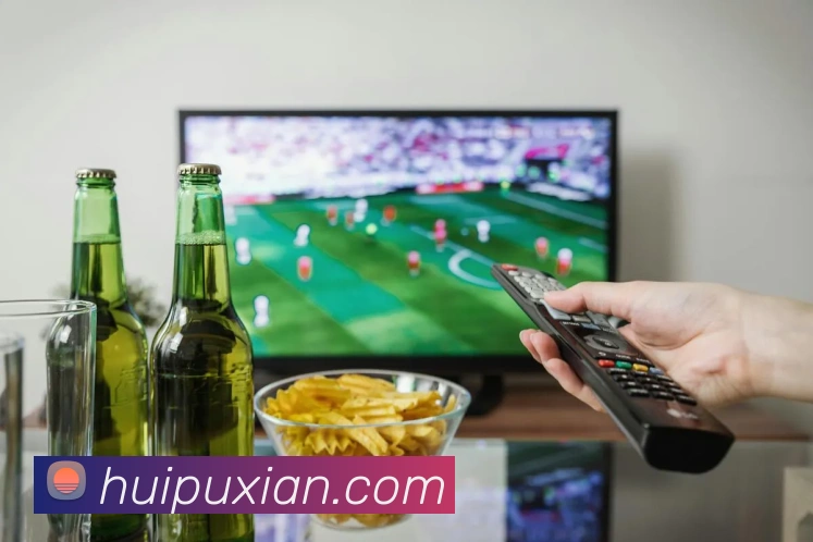 bsports网页版登录入口下载平台生态图